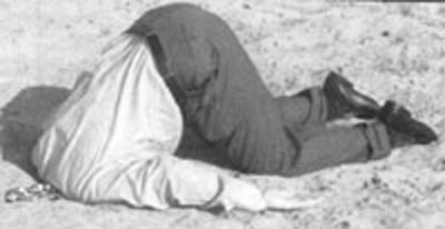 head-in-sand.jpg head-in-sand.jpg
