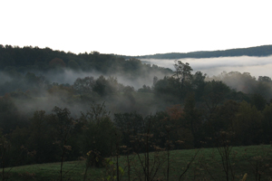 Mist in the Kickapoo Valley