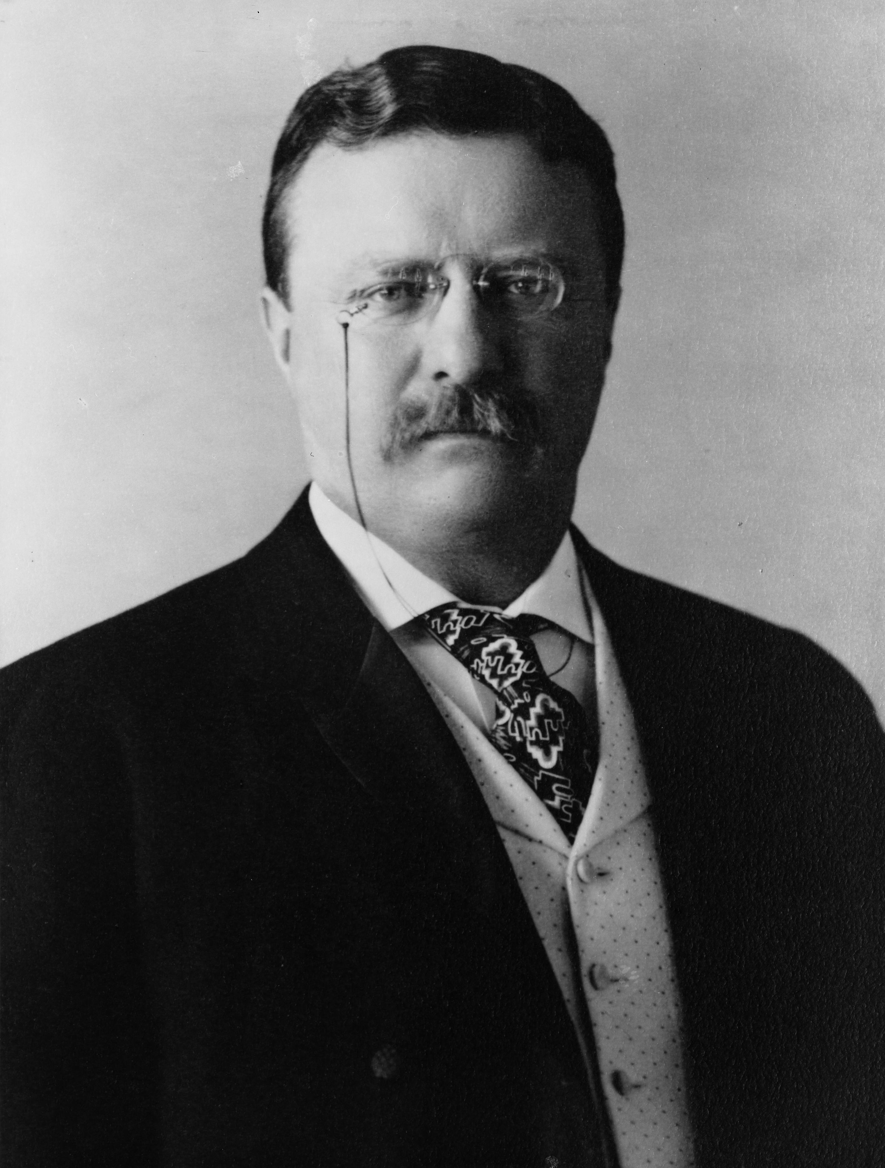Teddy Roosevelt, 1904